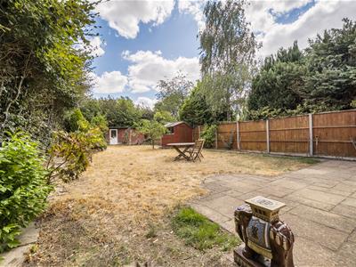 Picture 21